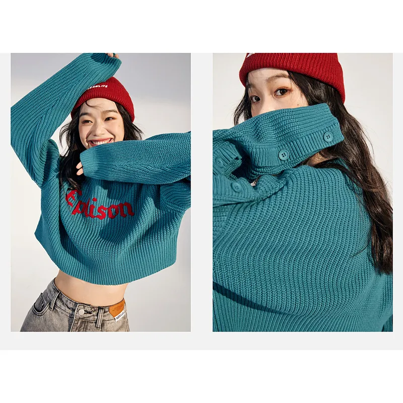 Cropped Casual Knitted Loose Fit Low Waist Letter Sweater